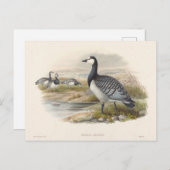 Barnacle Goose van Joseph Wolf Briefkaart (Voorkant / Achterkant)