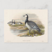 Barnacle Goose van Joseph Wolf Briefkaart (Voorkant)