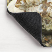 Barnacle Mohawk Beach Rock Muismat (Hoek)