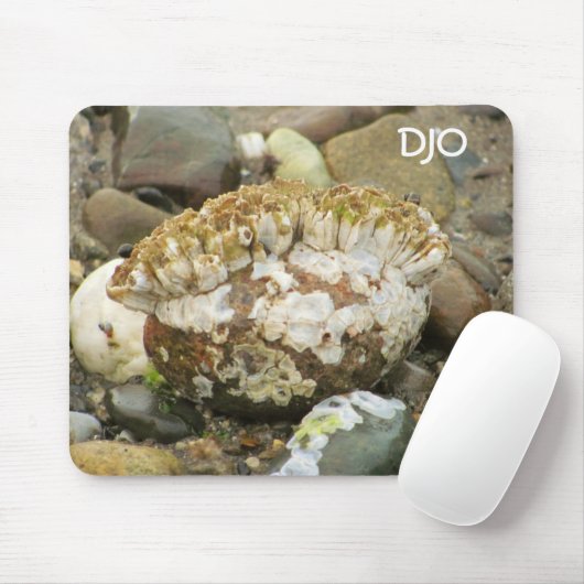 Barnacle Mohawk Beach Rock Muismat (Met muis)