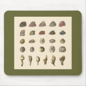 Barnacle mousepad muismat (Voorkant)