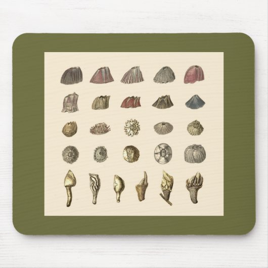 Barnacle mousepad muismat (Voorkant)