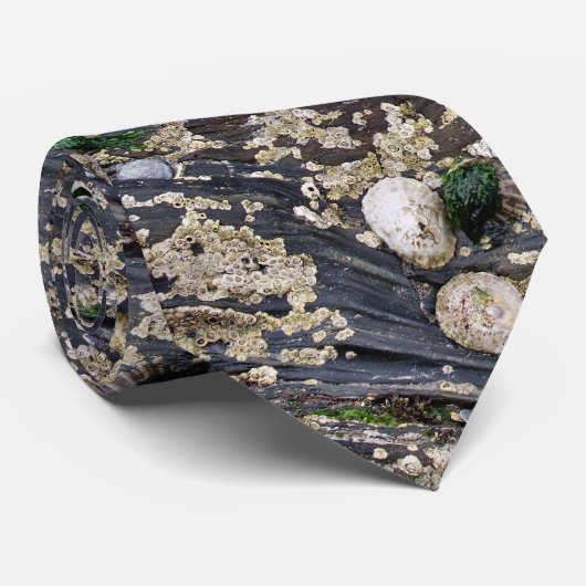 Barnacle Stropdas (Opgerold)