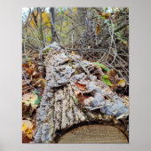Barnacle Tree Log Poster (Voorkant)