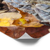 Barnacle Tree Log Poster (Hoek)