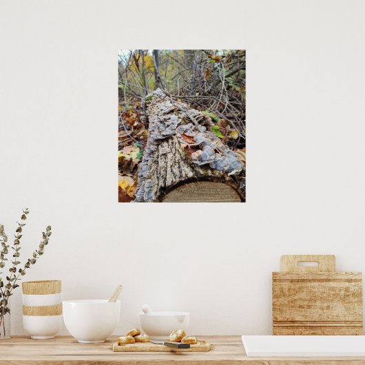 Barnacle Tree Log Poster (Keuken)