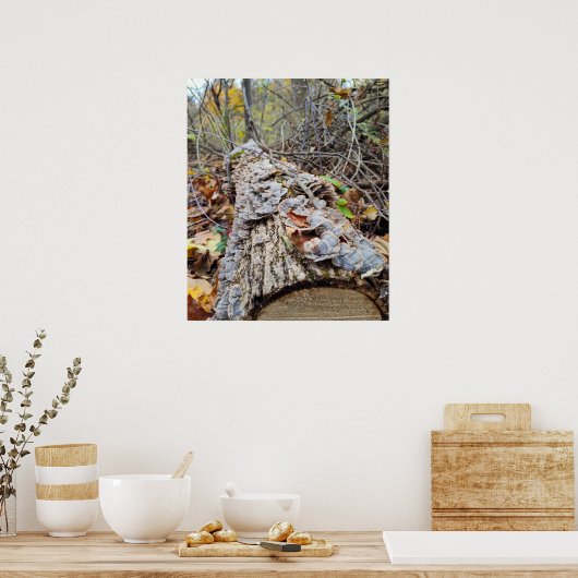 Barnacle Tree Log Poster (Keuken)