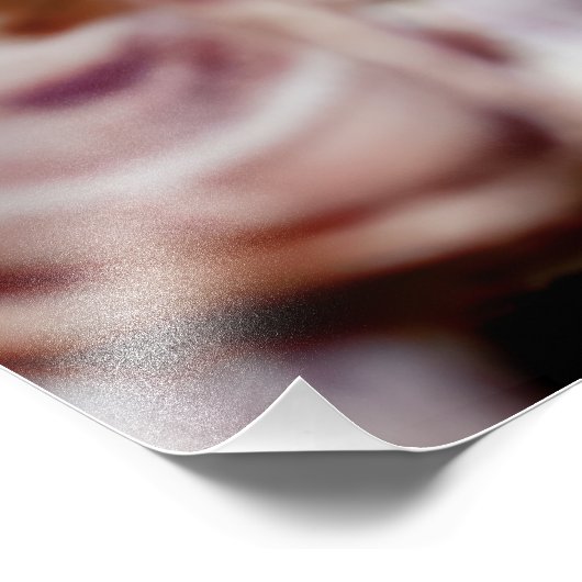 Barnacles Foto Afdruk (Hoek)