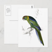 Barnard's Parrakeet van Edward Lear Briefkaart (Voorkant / Achterkant)