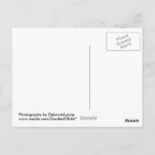 Barnegat Lighthouse Old Barney Briefkaart (Achterkant)