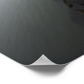 Barnegate Light Lighthouse Photo Poster (Hoek)