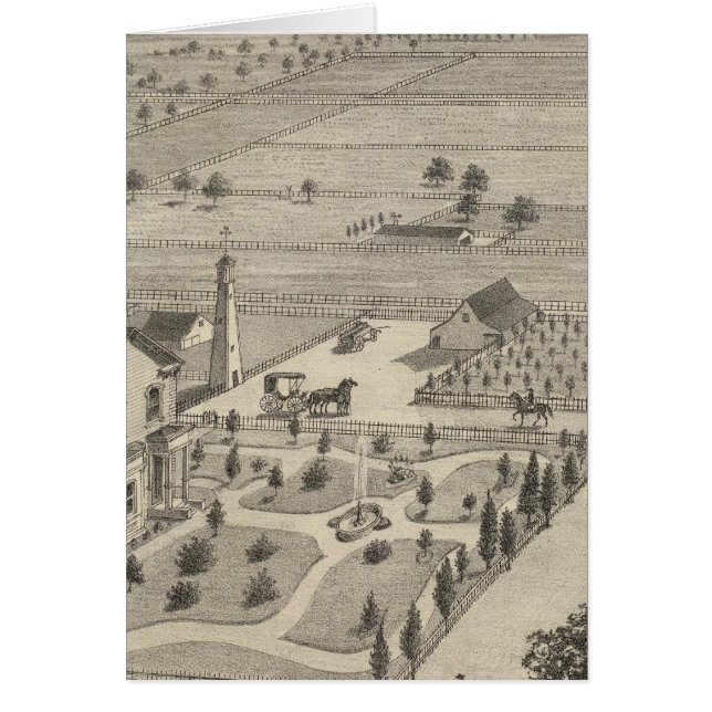 Barnes res, Woodland (Voorkant)