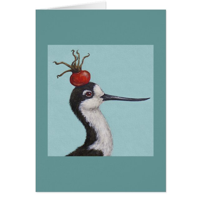 Barney de zwarte stikkaart (Voorkant)