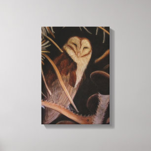 barnowl in pasteldierschilderij canvas afdruk