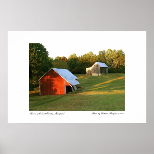 Barns of Calvert County, Maryland Poster (Voorkant)