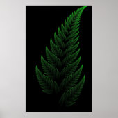 Barnsley Fern Poster (Voorkant)
