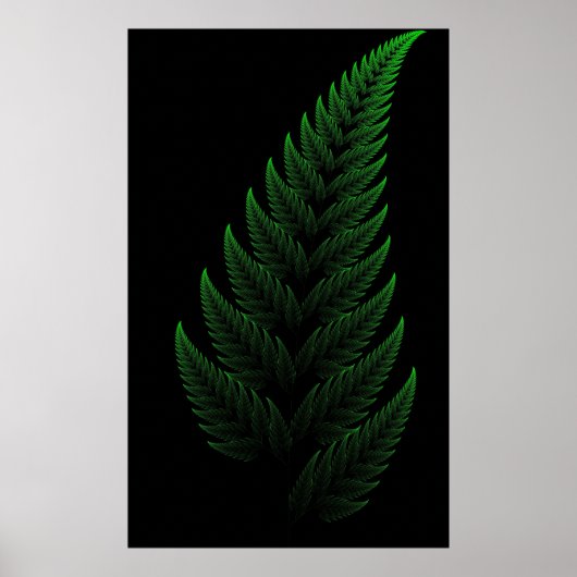 Barnsley Fern Poster (Voorkant)
