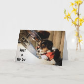 BARNSTORMING RUSSELL TERRIORS ZEGGEN GELUKKIGE 40e Kaart (Gele Bloem)