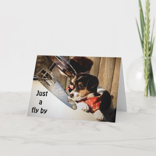 BARNSTORMING RUSSELL TERRIORS ZEGGEN GELUKKIGE 40e Kaart (Voorkant)