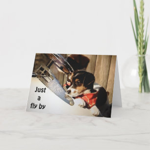 BARNSTORMING RUSSELL TERRIORS ZEGGEN HAPPY 40th Kaart