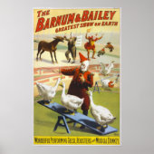 Barnum & Bailey Circus - Circa 1900 Poster (Voorkant)