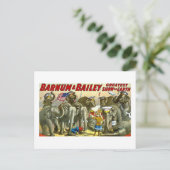 Barnum & Bailey - Elephants - Vintage Ad Briefkaart (Staand voorkant)