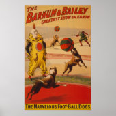 Barnum & Bailey - Marvelous Football Dogs Poster (Voorkant)