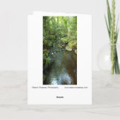 "Barnum Brook" Adirondack Forest and Trees Scene Kaart (Achterkant)