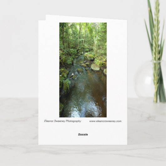 "Barnum Brook" Adirondack Forest and Trees Scene Kaart (Achterkant)