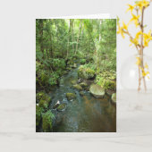 "Barnum Brook" Adirondack Forest and Trees Scene Kaart (Gele Bloem)