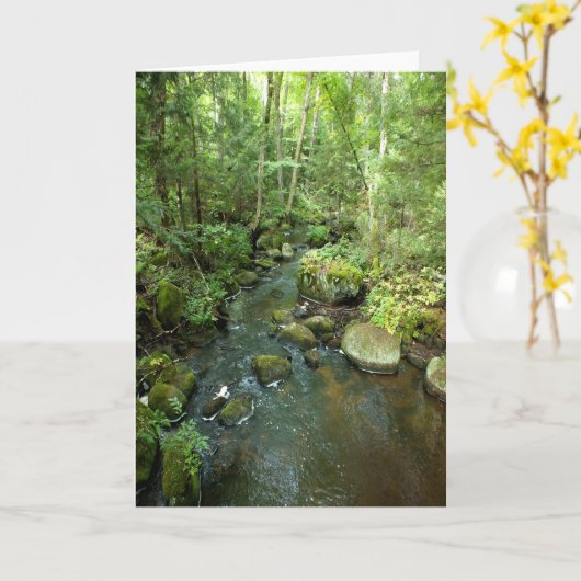 "Barnum Brook" Adirondack Forest and Trees Scene Kaart (Gele Bloem)