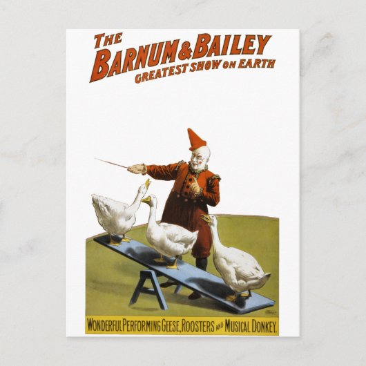 Barnum en Bailey: Uitvoerende ganzen Briefkaart (Voorkant)