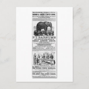 Barnum & London 9 United Shows Ad Briefkaart