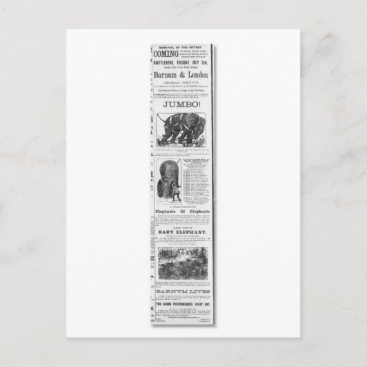 Barnum & London Moral Shows Ad Briefkaart (Voorkant)