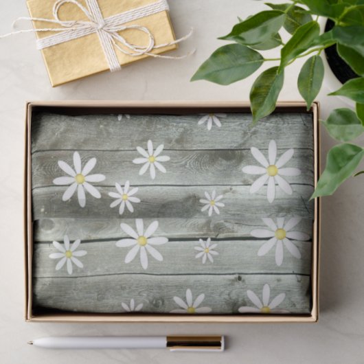 Barnwood Daisy Tissuepapier (Geschenk)