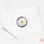 Barnwood en Daisy Sticker (Envelop)