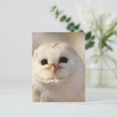 Barny de Schuur Uil Briefkaart (Staand voorkant)