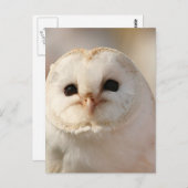 Barny de Schuur Uil Briefkaart (Voorkant / Achterkant)