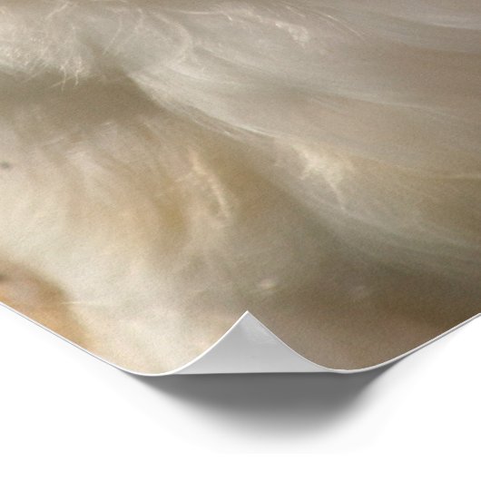 Barny the Barn owl Poster (Hoek)