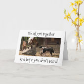 *BARNYARD ANIMALS* FEEST OP "UW VERJAARDAG" KAART (Gele Bloem)