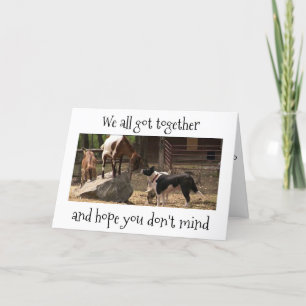 *BARNYARD ANIMALS* FEEST OP "UW VERJAARDAG" KAART