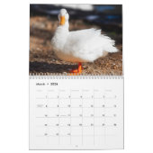 Barnyard Buddies Boerderij Kalender (Mar 2026)
