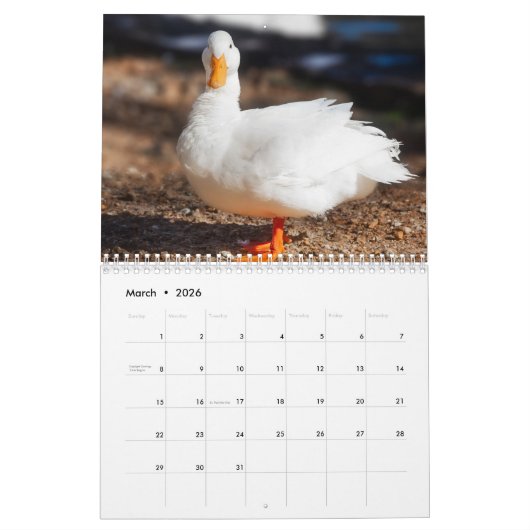 Barnyard Buddies Boerderij Kalender (Mar 2026)