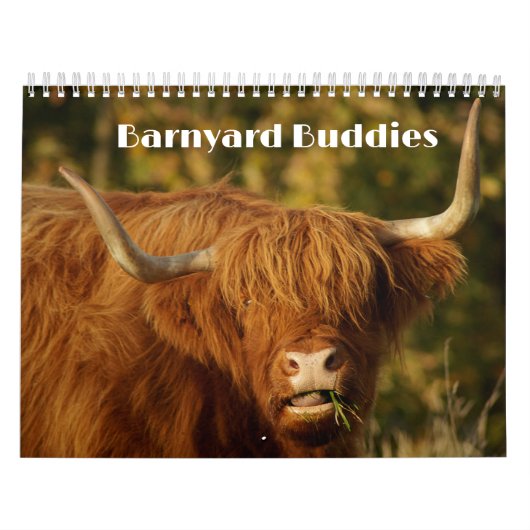 Barnyard Buddies Boerderij Kalender (Hoes)