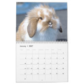 Barnyard Buddies Boerderij Kalender (Jan 2027)