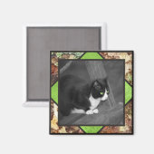 Barnyard Cat Magnet (Voorkant / Achterkant)