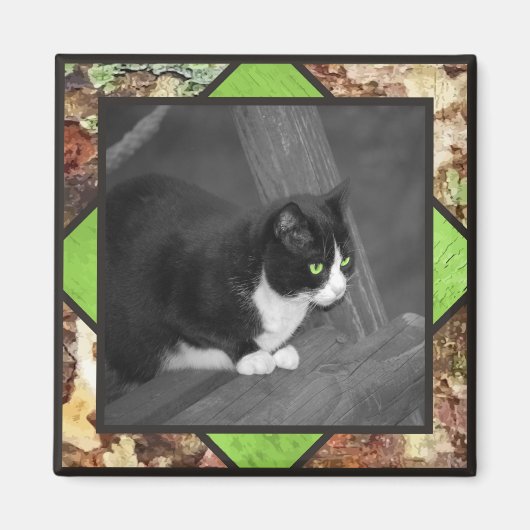 Barnyard Cat Magnet (Voorkant)