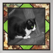 Barnyard Cat Poster (Voorkant)