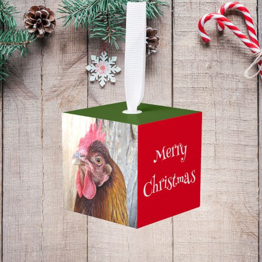 Barnyard Chicken Photos Holiday Decoratie