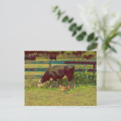 Barnyard Friends Koe & Chicken Briefkaart (Staand voorkant)